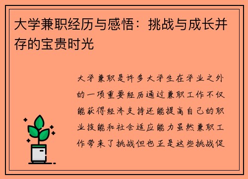 大学兼职经历与感悟：挑战与成长并存的宝贵时光