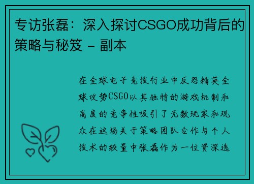 专访张磊：深入探讨CSGO成功背后的策略与秘笈 - 副本